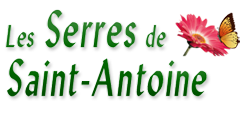 Les Serres de Saint-Antoine horticulteur pépinièriste à Melgven en Finistère